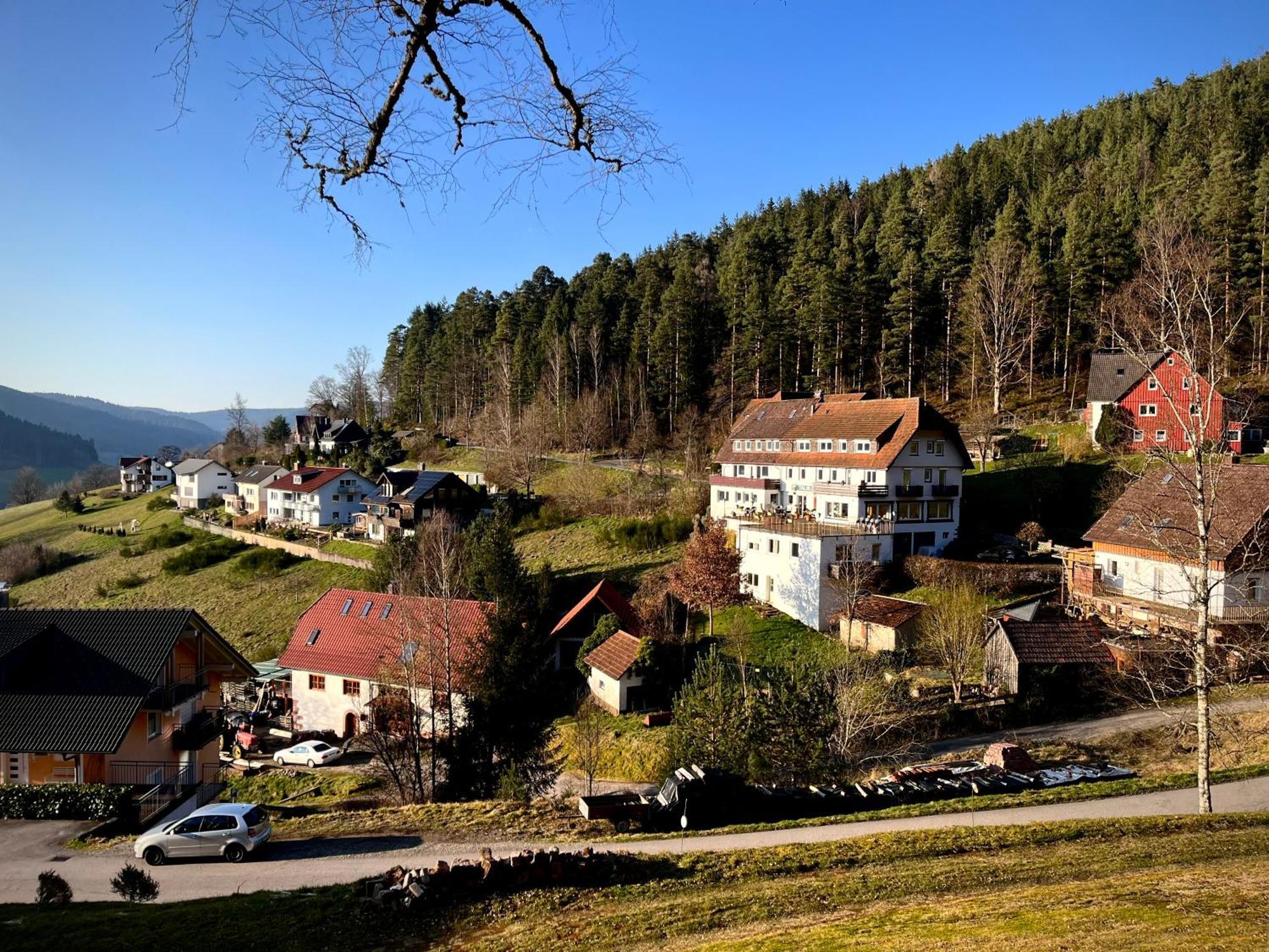 Pension Talblick Baiersbronn Kültér fotó
